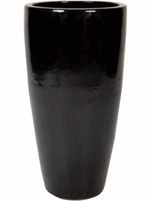 Plain