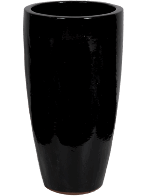 Plain
