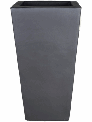 Plain
