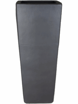 Plain
