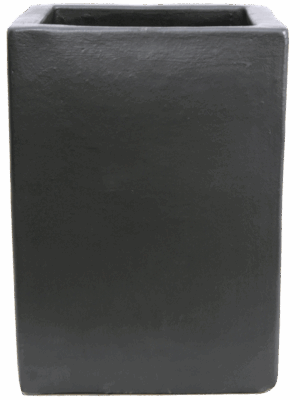 Plain