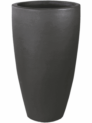 Plain