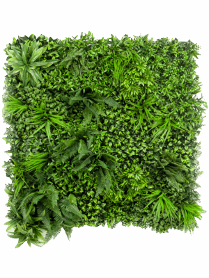 Forest Wall Mix