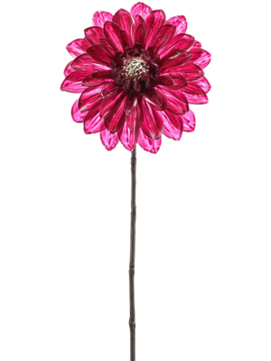 Dahlia