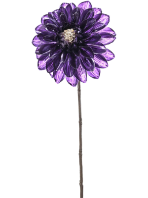 Dahlia
