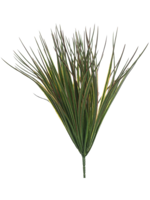 Grass