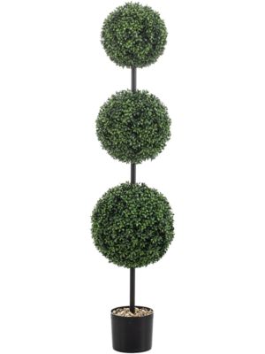 Boxwood Ball