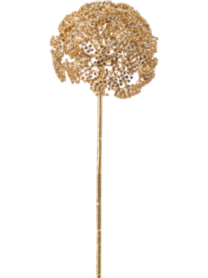 Achillea
