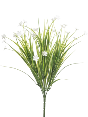 Grass