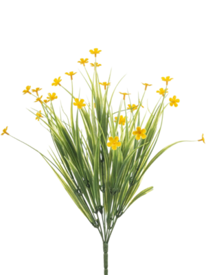 Grass