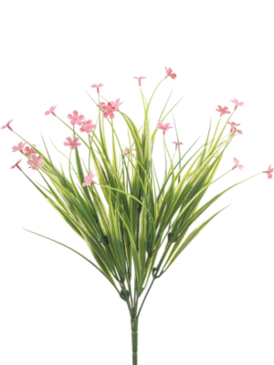 Grass
