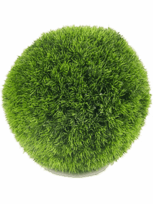 Grass