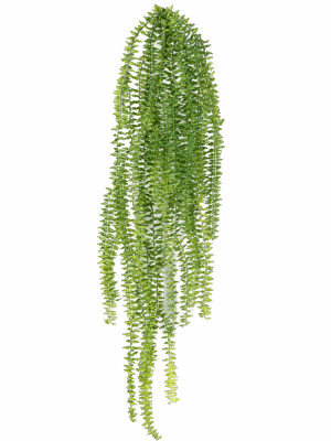 Fern Tassel