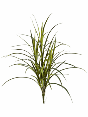 Grass Natural