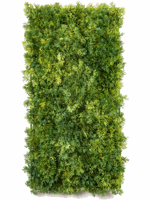 Moss