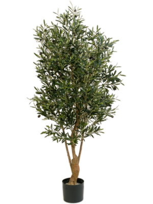 Natural Twisted Olive