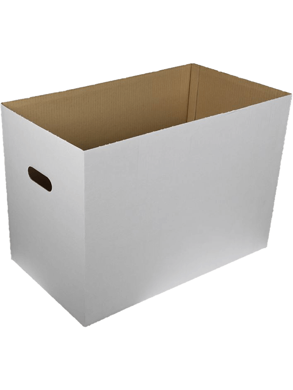 Danoise Carton