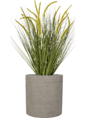 Grass Cattail en Rough