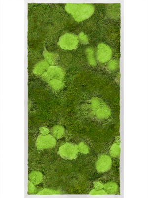 Tableau De Mousse
