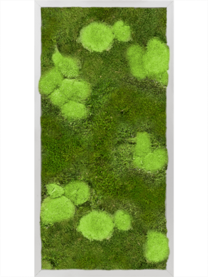 Tableau De Mousse