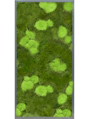Tableau De Mousse