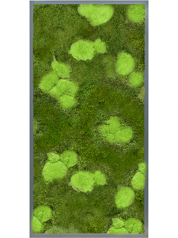 Tableau De Mousse