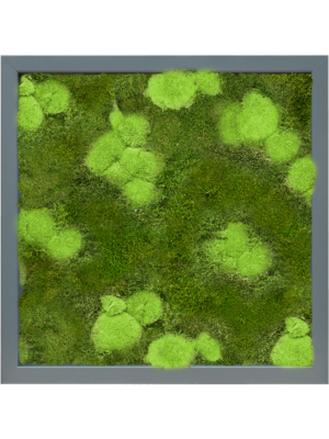 Tableau De Mousse