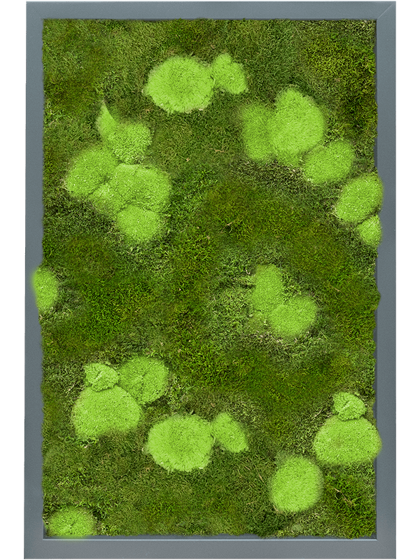 Tableau De Mousse