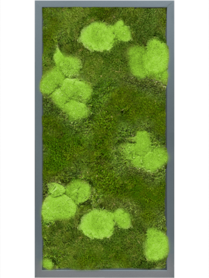 Tableau De Mousse