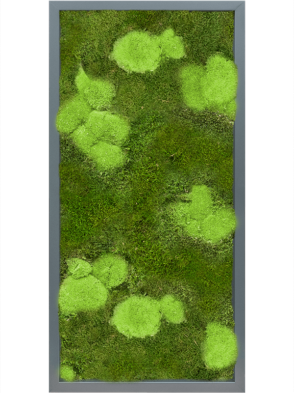 Tableau De Mousse