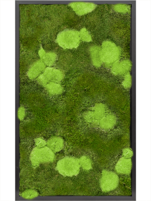Tableau De Mousse