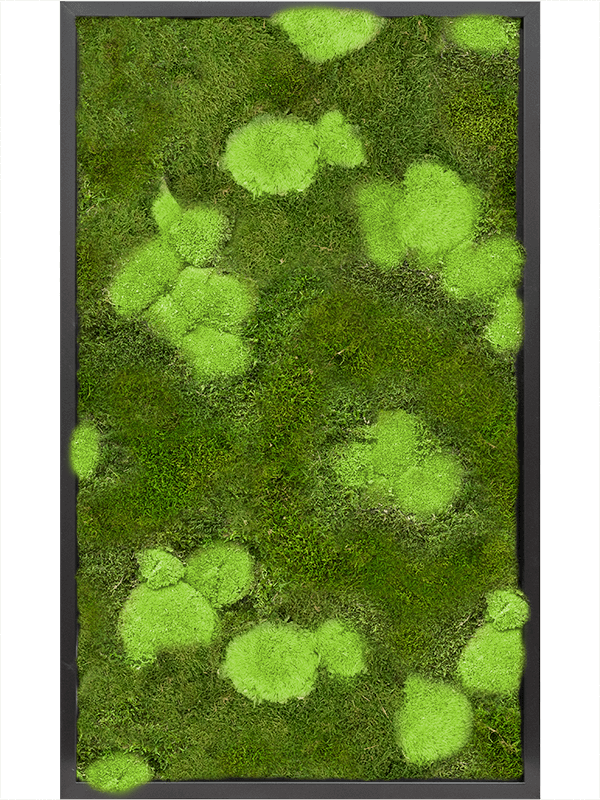Tableau De Mousse