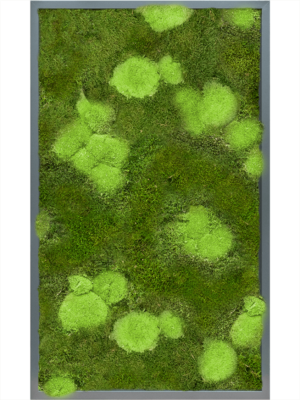 Tableau De Mousse