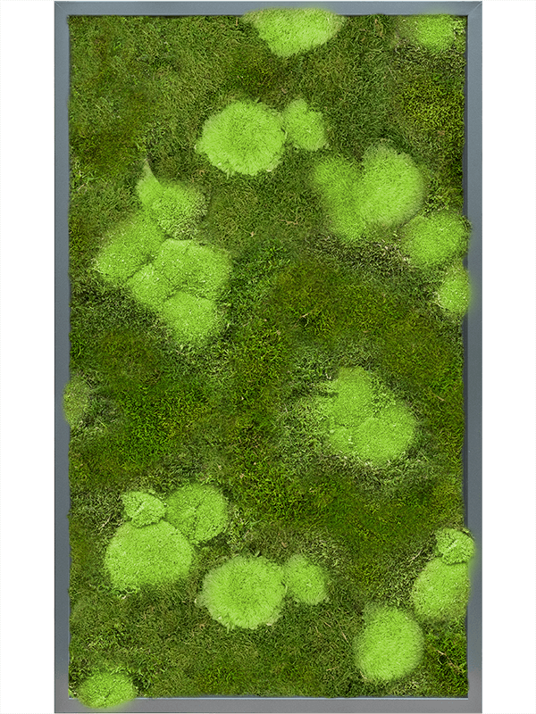 Tableau De Mousse