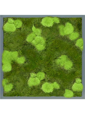 Tableau De Mousse