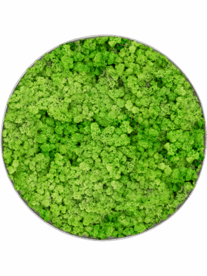Tableau De Mousse