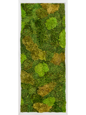 Tableau De Mousse