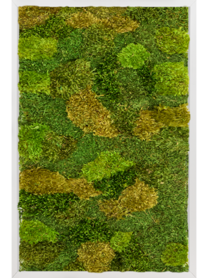 Tableau De Mousse
