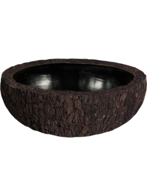 Bosco