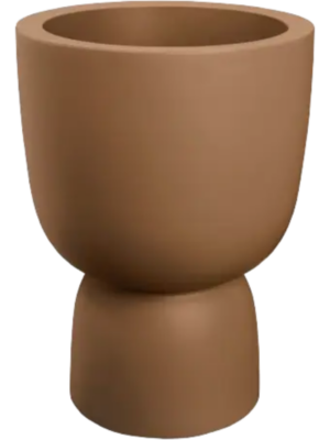 Amber Coupe