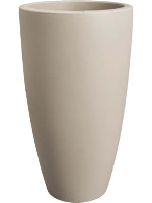June Round
