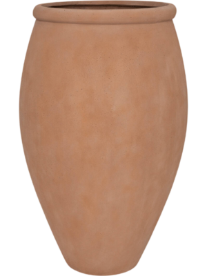 Terra Nova