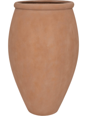 Terra Nova