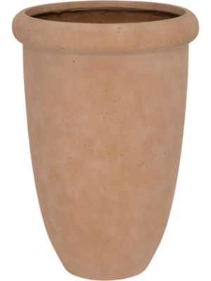 Terra Nova