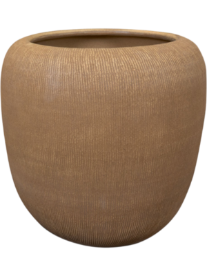 Roxan