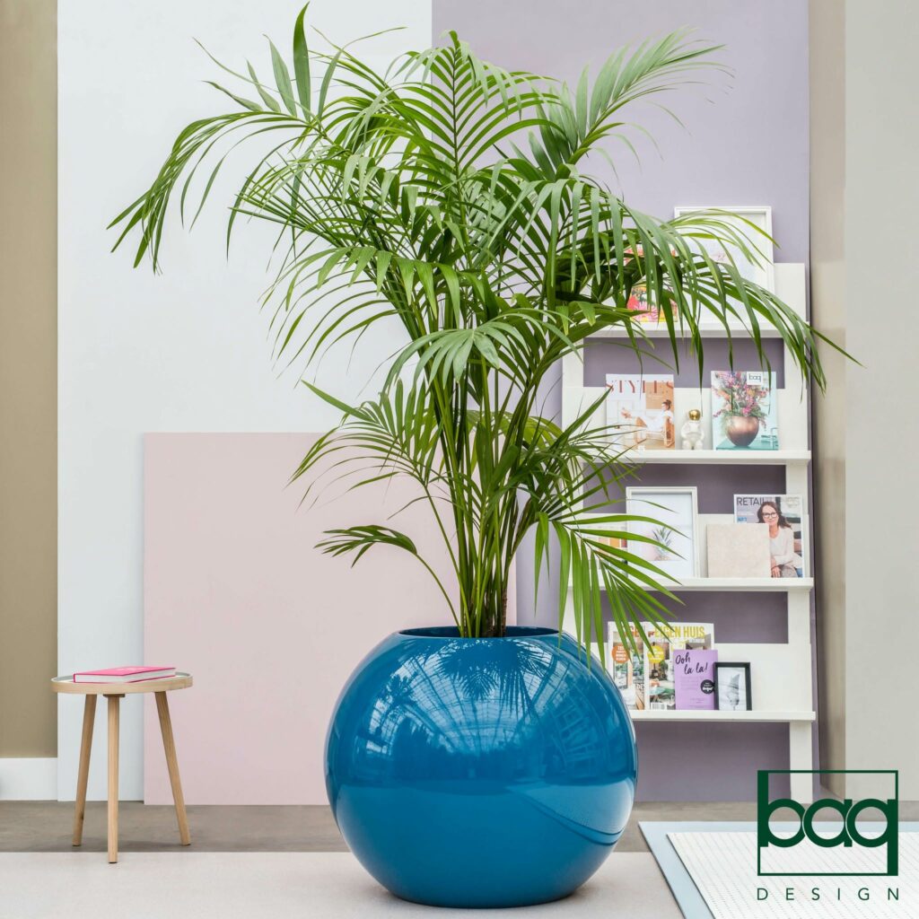 plante en pot dans un bureau lumineux