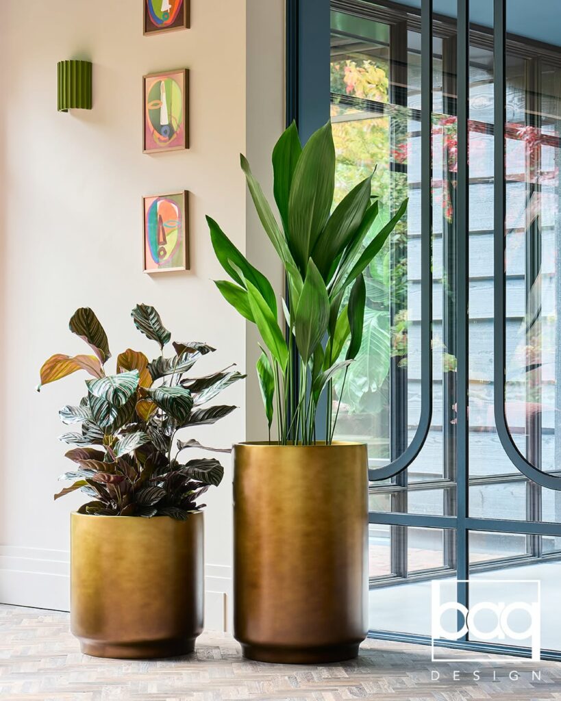 deux plantes dans des pots dorés dans un bureau